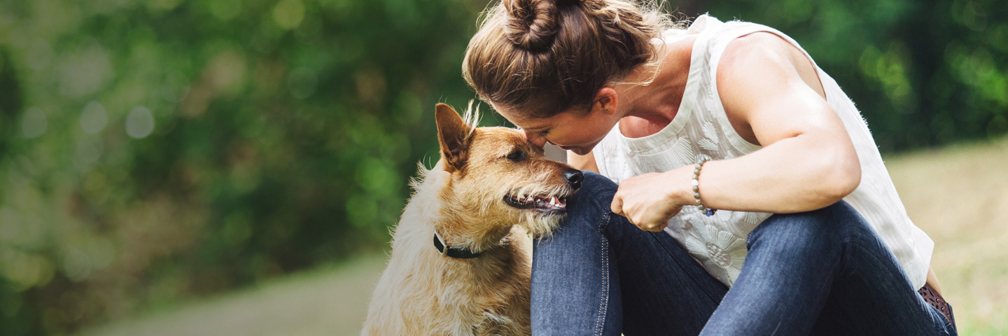 DogWatch of Mid-Alabama, Montgomery, Alabama | BarkCollar No-Bark Trainer Slider Image